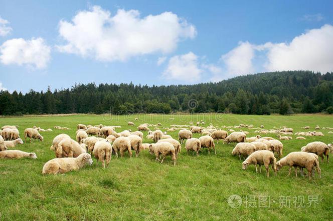 繁衍の牧场繁殖牧场截图