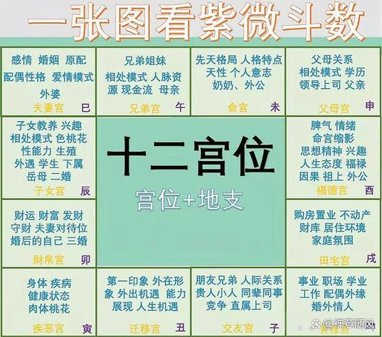 怎样查自己十二宫位截图