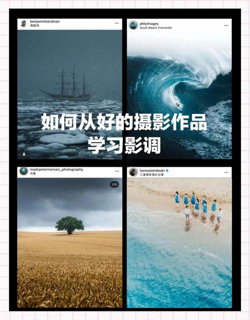相机照片太亮怎么处理