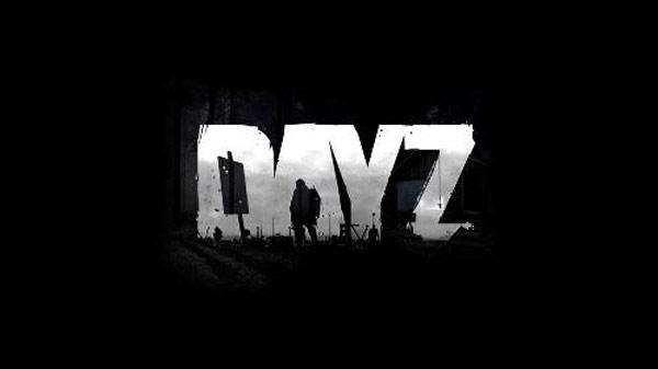 dayz0.54单机截图