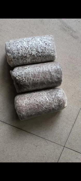 蘑菇包用完还可以在种么