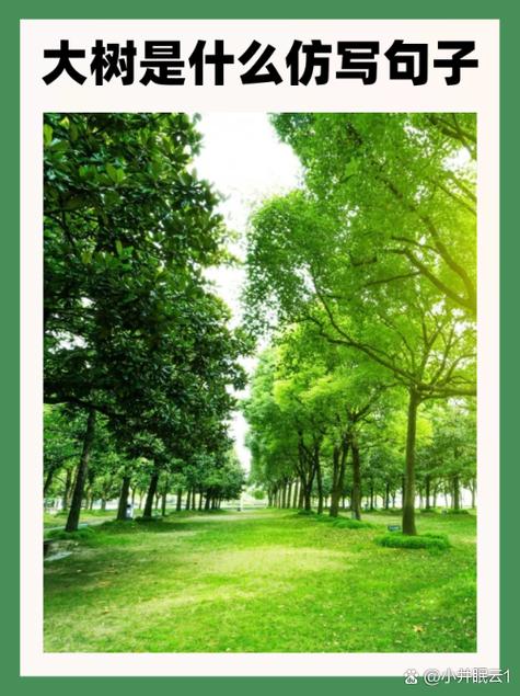 绿色镌像内容图标