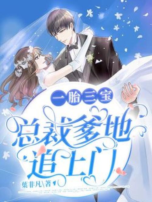 一胎三宝总裁爹地找上门免费