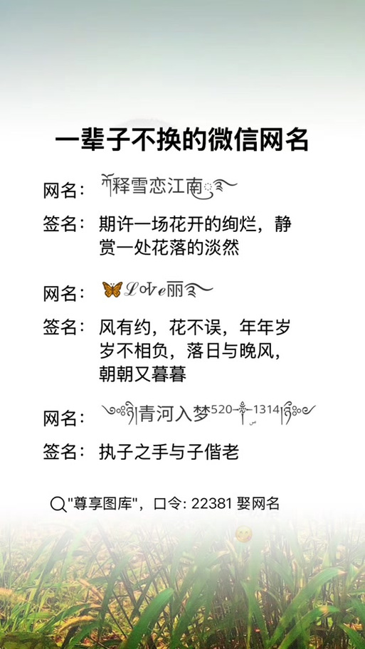 独一无二的微信名