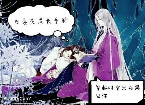 快穿宠妃升级系统