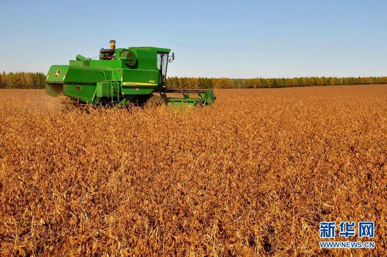 大豆收割机视频
