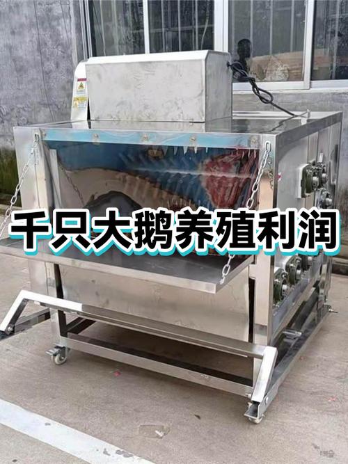 大鹅养殖成本与利润游戏截图