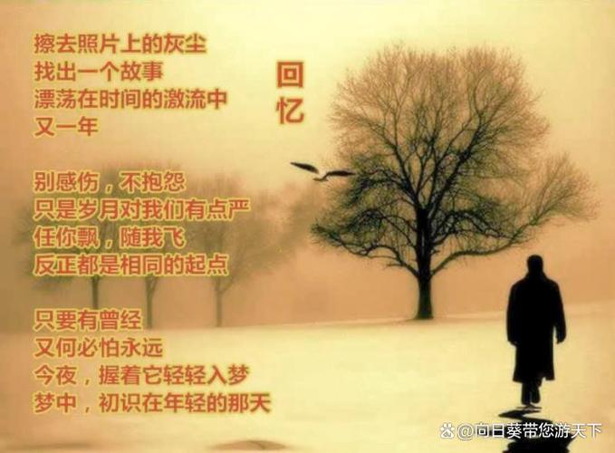 翻开旧照片感慨的句子