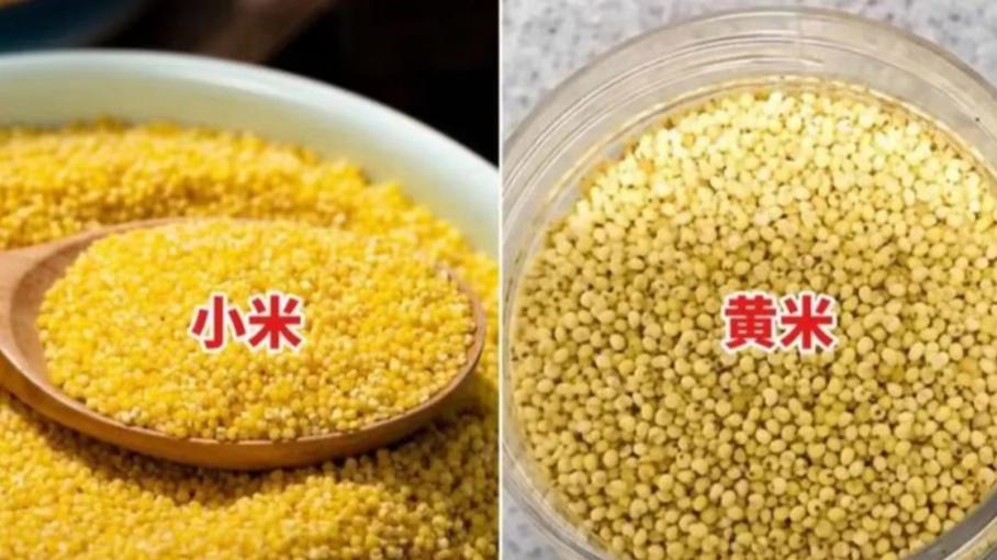 小米最好的三个品种
