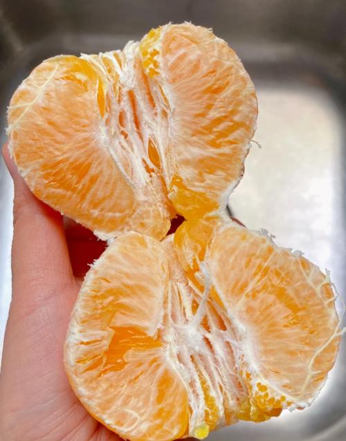 火偶脐橙
