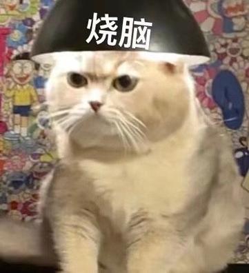 烧脑