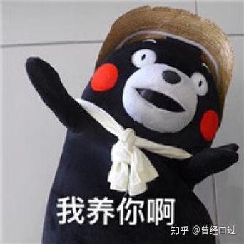 如何优雅回复我养你