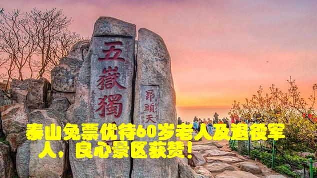 泰山老人免费预约入口