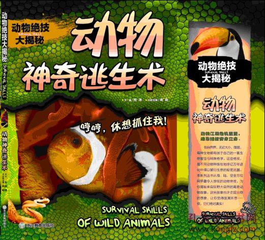 动物逃生的绝招有哪些
