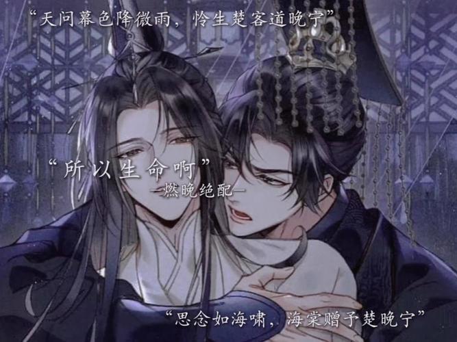 沈墨辞林晚晚