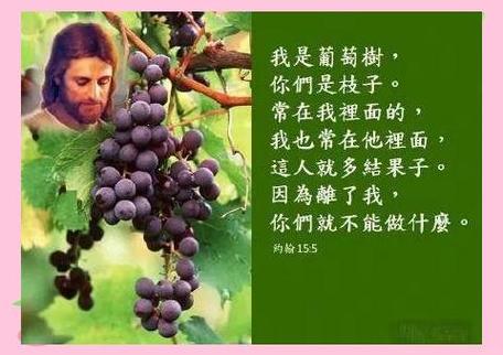 什么是基督徒缩略图