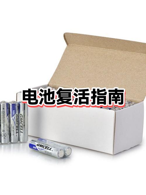 理电池充不进电怎样复活截图