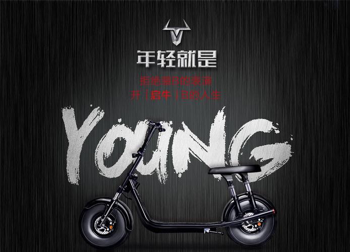启牛电动车