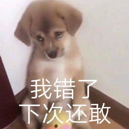 我错了下次不敢了截图