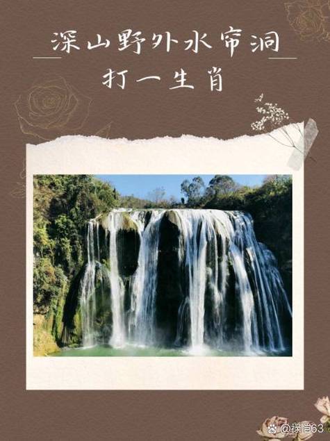 住山洞的动物打一精准生肖截图