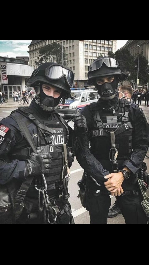 斯沃特特种部队截图