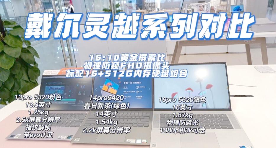 戴尔哪个系列的好