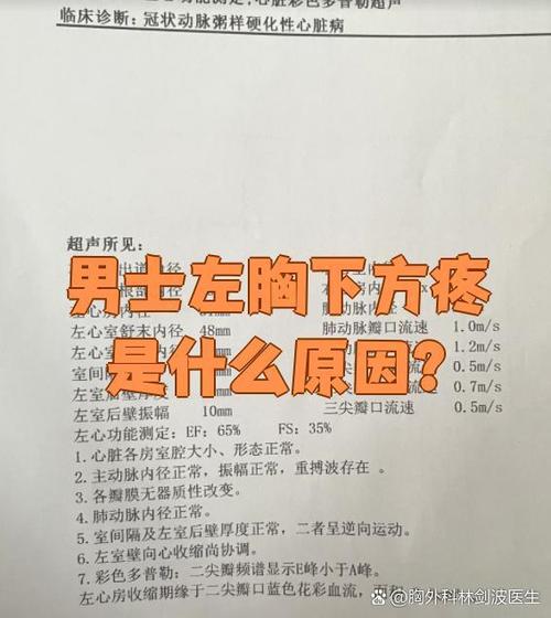 胸口下面中间是什么部位截图