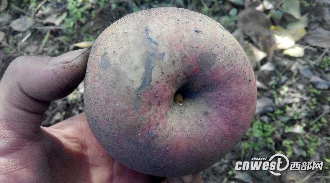 苹果调成黑色截图