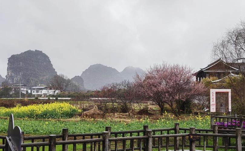 梦见桃花源截图