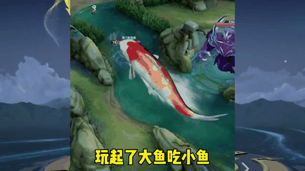 大鱼在线播放免费