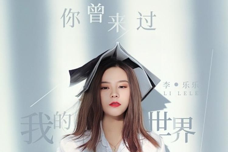歌词你的世界我曾经来过是什么歌缩略图