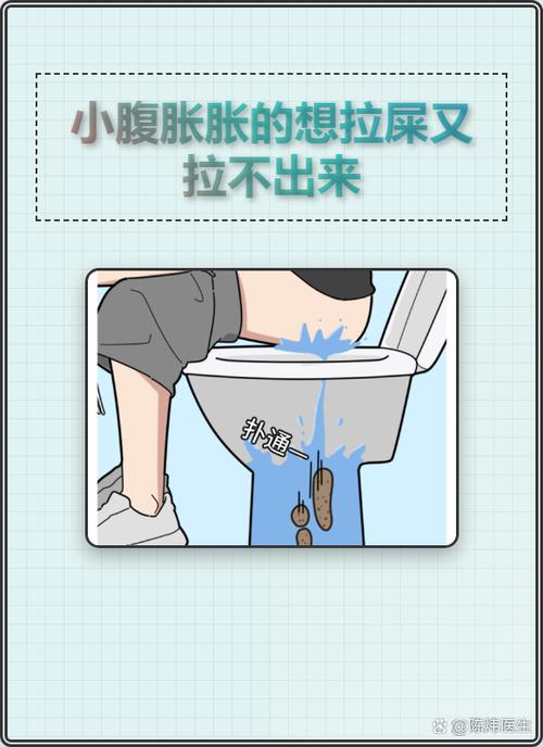 小腹胀胀的想拉屎又拉不出来