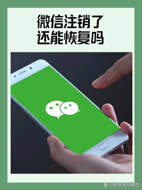 手机号注销后微信还能用吗游戏截图