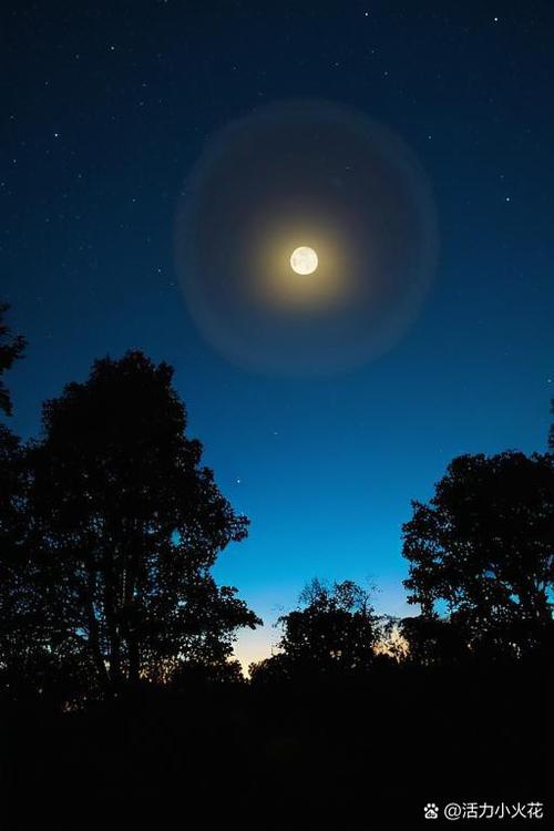 手机黑夜怎么拍照清晰图标