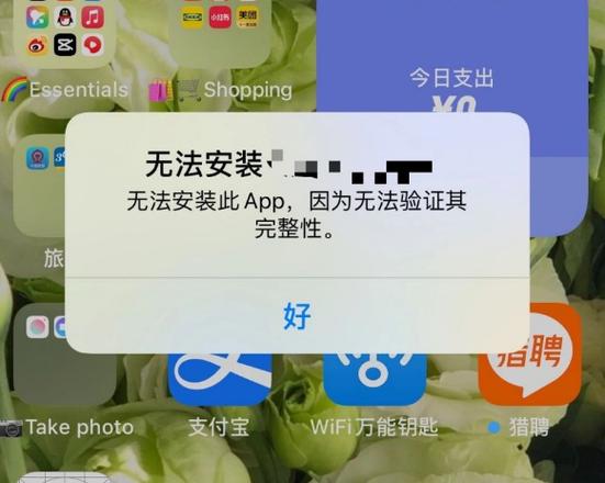 苹果安装不了影音先锋的解决方案