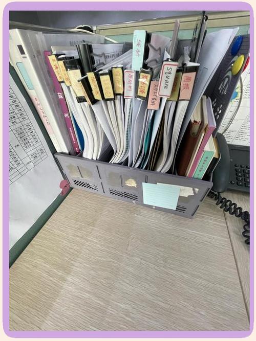 办公室整理资料的真实图片