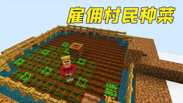 我的世界村民自动种地