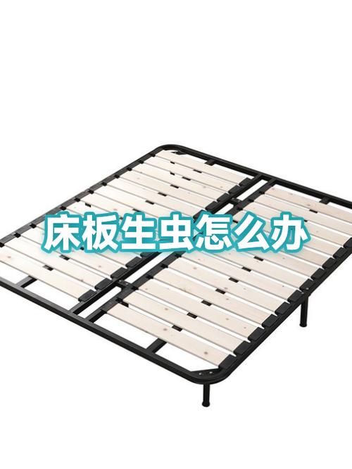 床板里面有虫子啃木头怎么办