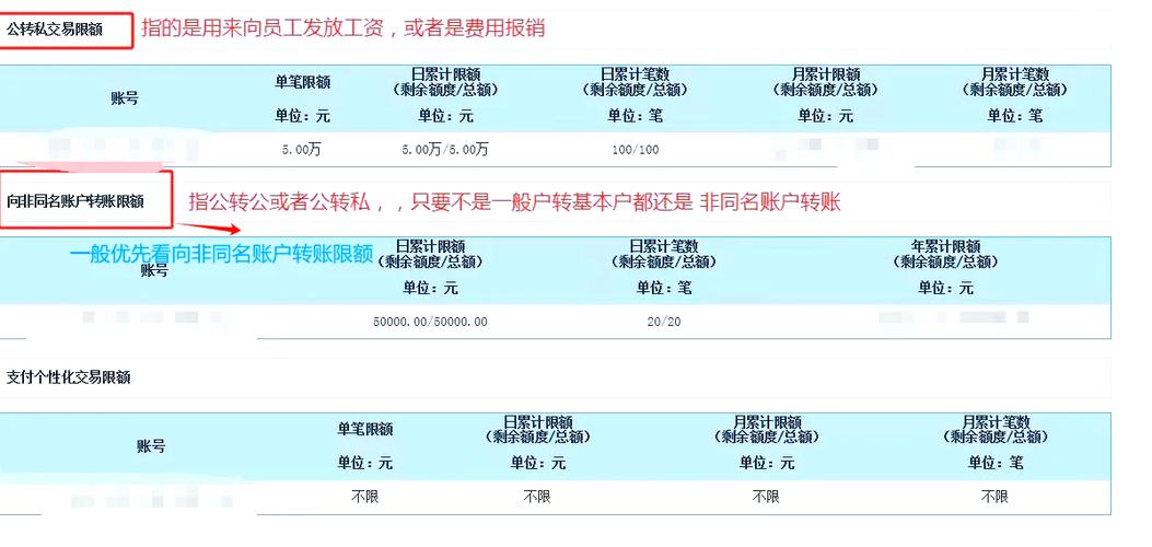 企业网银超过一年明细怎么查