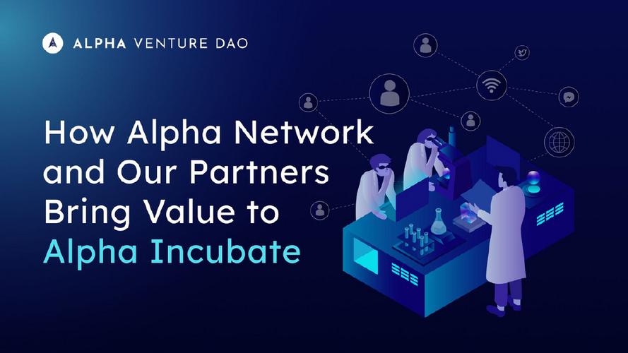 Alphanetwork官方网站入口