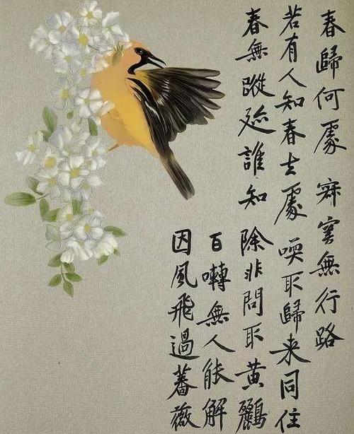 春无踪迹谁知