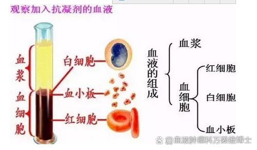 噬血珠30级测抗最简单三个步骤缩略图