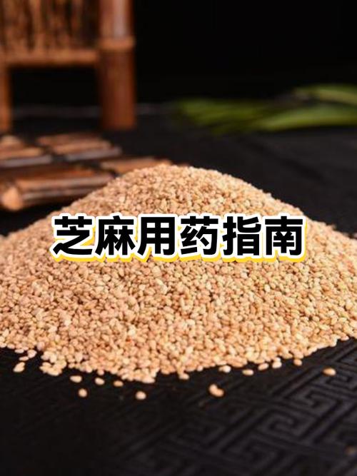 芝麻信用里面的芝麻粒是干嘛用的