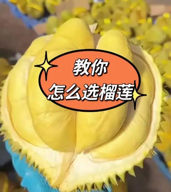 挑选榴莲的几个好方法很实用截图