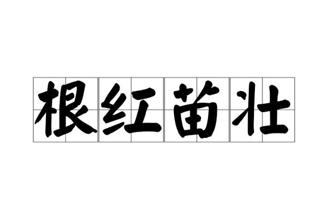 根正苗红相近的成语