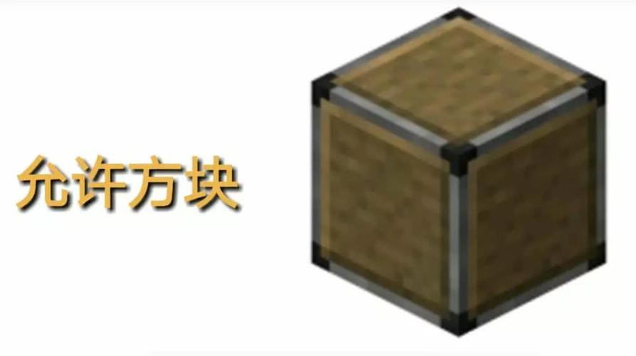 我的世界最稀有的方块