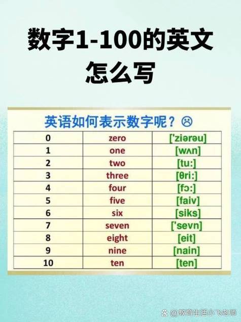 比例英文单词