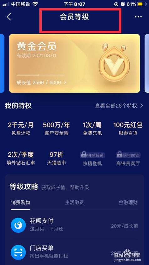 支付宝会员图标级别