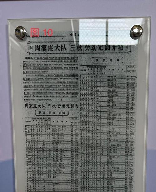 一本到69公社