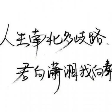 qq头像大全文字截图